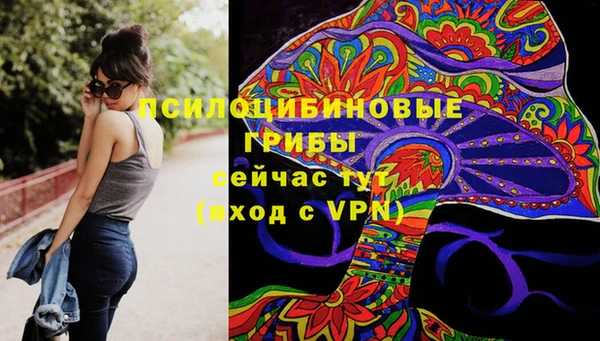 винт Няндома