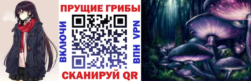 Псилоцибиновые грибы ЛСД даркнет формула kraken зеркало Орёл хочу наркоту